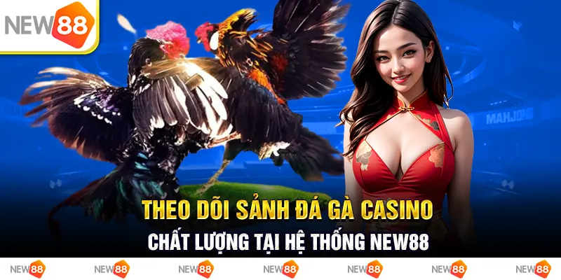 Theo dõi sảnh đá gà casino chất lượng tại hệ thống New88 1 Theo dõi sảnh đá gà casino chất lượng tại hệ thống new88