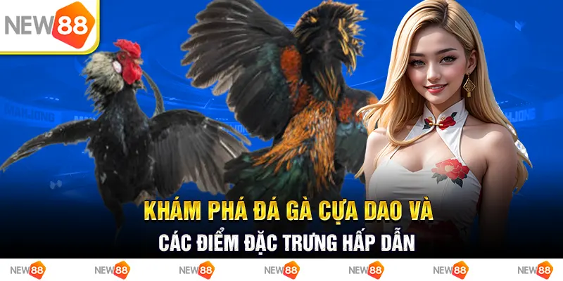 Khám phá đá gà cựa dao và các điểm đặc trưng hấp dẫn 1 Khám phá đá gà cựa dao và các điểm đặc trưng hấp dẫn