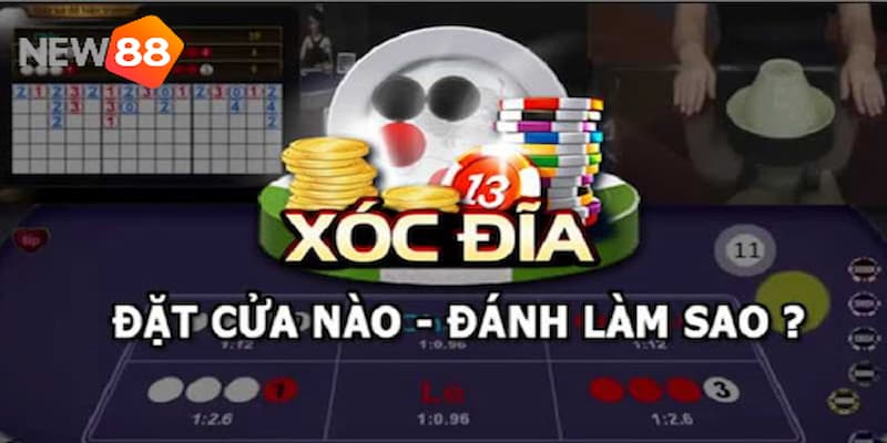 Các cửa cược phổ biến mà người chơi thường hay gặp trong cách chơi xóc đĩa