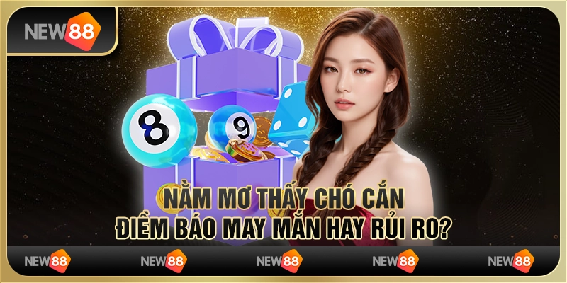 Nằm mơ thấy chó cắn: Điềm báo may mắn hay rủi ro? 1 Nằm mơ thấy chó cắn: Điềm báo may mắn hay rủi ro?