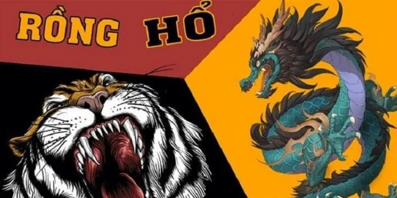 Hướng dẫn chi tiết các bước cách soi cầu rồng hổ