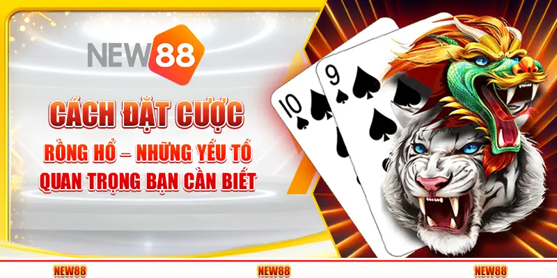 Cách đặt cược Rồng Hổ – Những yếu tố quan trọng bạn cần biết