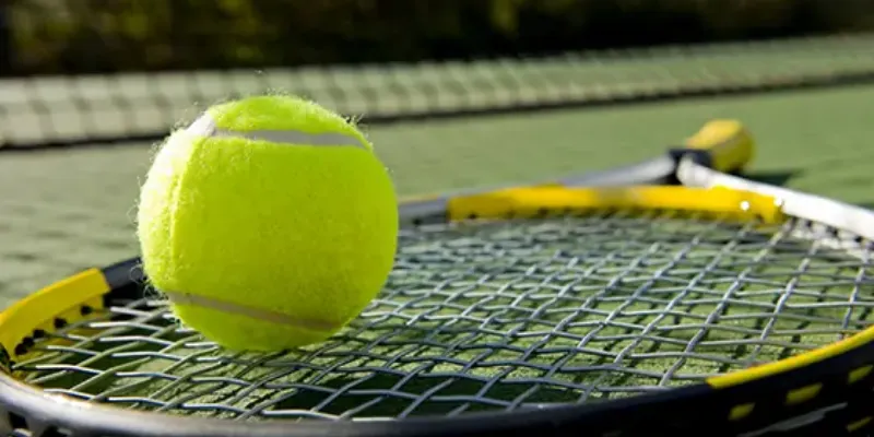 Chiến thuật cá cược Tennis - Mẹo giúp bạn thắng lớn 4 Một số chiến thuật cá cược Tennis nâng cao