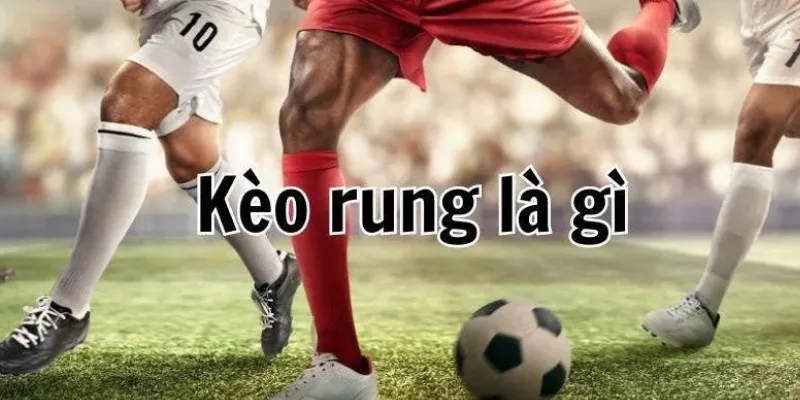 Kèo rung là gì? Hướng dẫn chi tiết cho người mới chơi tại New88 2 Một số ưu điểm của việc chơi kèo rung