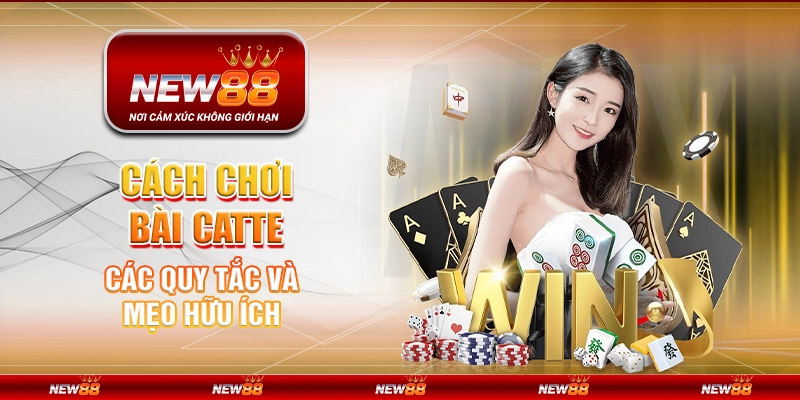 Cách chơi bài Catte - Các quy tắc và mẹo hữu ích 1 Cách chơi bài Catte - Các quy tắc và mẹo hữu ích