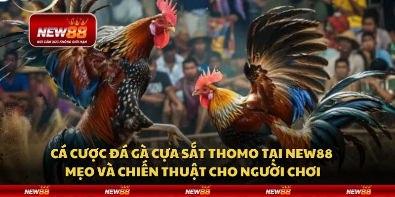 Cách chọn kèo thơm - Bí quyết thắng lớn từ chuyên gia
