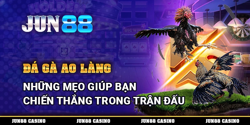 Đá Gà Ao Làng - Những Mẹo Giúp Bạn Chiến Thắng Trong Trận Đấu 1 Đá Gà Ao Làng