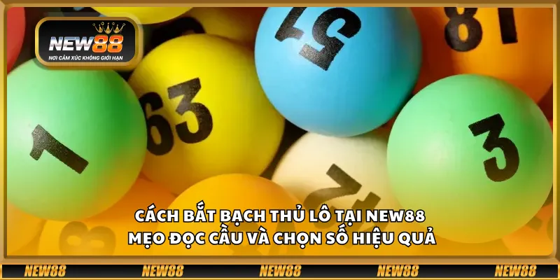 Cách bắt bạch thủ lô tại New88 – Mẹo đọc cầu và chọn số hiệu quả