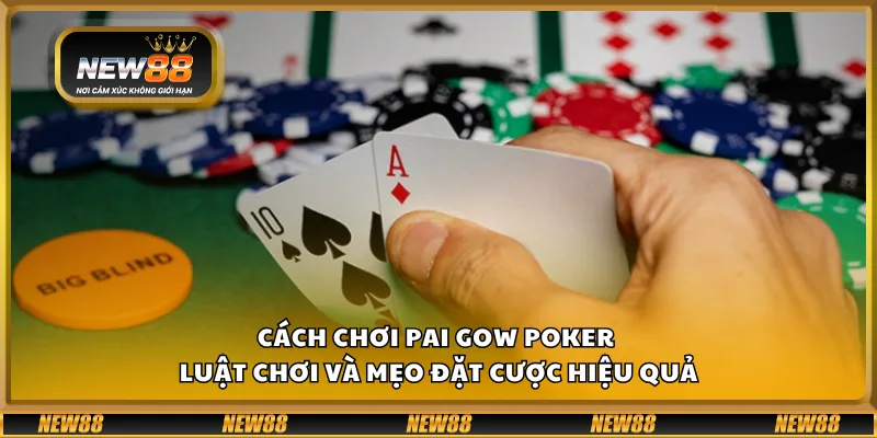 Cách chơi Pai Gow Poker – Luật chơi và mẹo đặt cược hiệu quả 1 Cách chơi Pai Gow Poker – Luật chơi và mẹo đặt cược hiệu quả