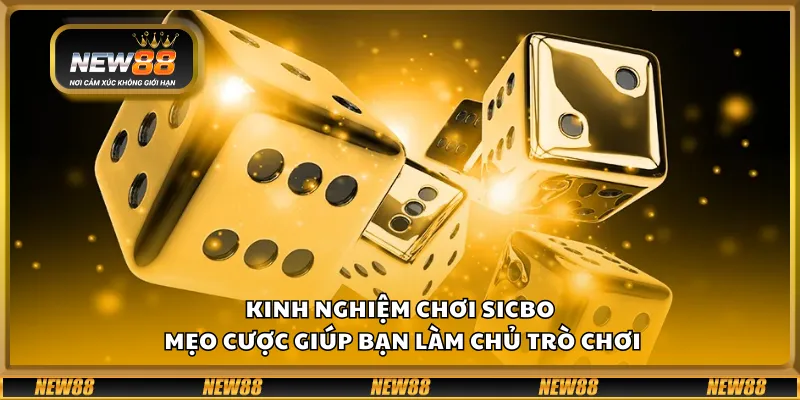 Kinh nghiệm chơi Sicbo – Mẹo cược giúp bạn làm chủ trò chơi